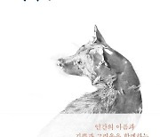 [MBN이 본 신간] 미드나잇 라이브러리 외