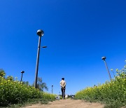 걸어서 저 하늘까지 [포토뉴스]