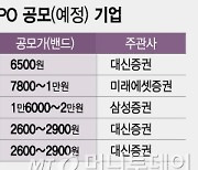 40조 자금 남았을 때..IPO 서두르는 제주맥주