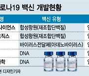 '엔데믹' 잡아라..'K-백신' 시간표 나왔다