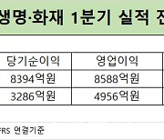 삼성전자發 배당 효과..삼성생명·화재 역대급 성적표