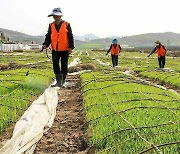 북한 "과학농사의 시대, 요구 맞게 농사 지도 실속있게"