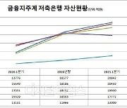 KB·신한저축은행, 자산 2조원 돌파..NH저축은행 뒷걸음