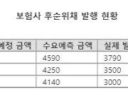 보험사 후순위채 잇단 흥행 성공.."투자 자산으로 매력"