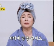 '같이 삽시다3' 김청, 목소리 톤 댓글에 "저에게 답을 주세요" 난감