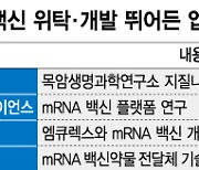 정부 "mRNA 절박하다" K-바이오, 생산·개발 잇단 노크