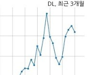 DL, "(주)대림, 유상증자 참여"