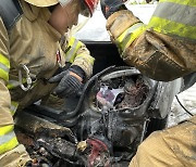 '화재 발생한 차량 트렁크 부분 살펴보는 소방관들'