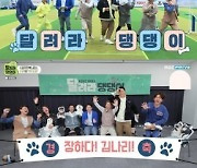 종영 '달려라 댕댕이' 심진화→이태성, 교감 어질리티 완주  [TV북마크](종합)