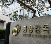 금융당국, '셀프대출' 의혹 지역농협 임직원 조사(종합)