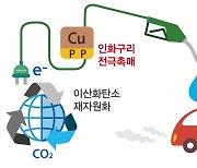 GIST, 온난화 주범 이산화탄소서 친환경연료 '부탄올' 생산기술 개발