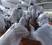 WHO "인도발 변이 바이러스, 전 세계 44개국으로 퍼져"