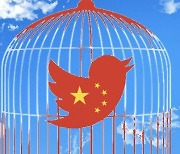 유령계정으로 '리트윗' 폭격..트위터 농락한 '親中 여론 조작단'