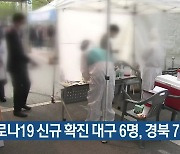 코로나19 신규 확진 대구 6명·경북 7명