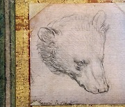 레오나르도 다빈치 '곰의 머리'..최고 187억 낙찰 전망