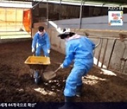 '6시 내고향' 신성, 건초 옮기기→우사 청소까지 열정 폭발..유쾌한 활약