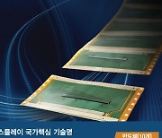 [단독]매그나칩에 드러난 국가핵심기술 구멍..'OLED칩' 뒷북 지정