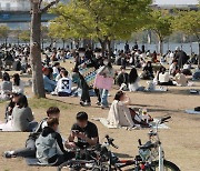 'Chicken and beer at the Han River?'