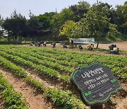 수원 도시농업 시민봉사단, 녹색 나눔 실천