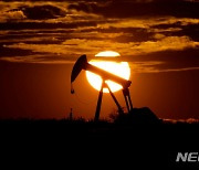 인플레이션 공포 커지나..석유·원자재 가격 줄줄이 상승(종합)
