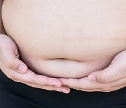 "비만·과체중, '식욕 억제' 말고도 체내 '발열 증가'로 억제"