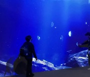 "바닷속 가상 체험하세요"..국립해양박물관 기획전 18일 개막