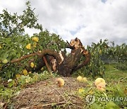 전북도, '여름철 재난 대비' 비상 근무체제 돌입