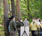 울진 금강소나무 숲 관리강화 방안 논의하는 최병암 산림청장