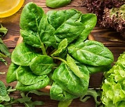 심장 건강을 지켜주는 '녹색 채소' (연구)