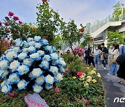 "이런 꽃은 처음"..전세계 58개 정원, 서울에서 만난다(종합)