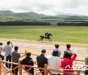 [경마] '말(馬)의 고장' 제주에서 열린 국내산마 경매, 통쾌한 반격은 언제?