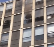 불이 난 5층 건물에서 뛰어내려 무사 탈출한 고양이 (영상)