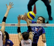 FIVB, 코로나19 집단 감염된 태국 여자배구 대표팀에 재검사 권고