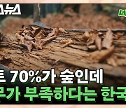 [스브스뉴스] 국토 70%가 숲인데 나무가 부족하다는 한국