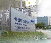 '파업 현실화되나?"..삼성디스플레이, 노사조정 최종 결렬