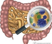 출생 전에는 장(腸) 박테리아 없다?