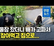 [영상] "곰이 나타났어요"..겨울잠 깬 반달가슴곰 민가 닭장으로