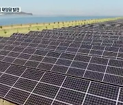 '폐염전 활용' 전국 최대 태양광 발전 단지 조성