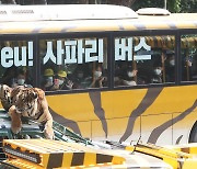 [Photo News] Farewell to Safari Bus, Hello to Wild Tram