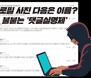 "아이디→사진→이름 공개?"..불붙는 '댓글실명제'