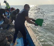 시흥시, 동죽 어린 조개 2t 살포..어민 소득증대 기대