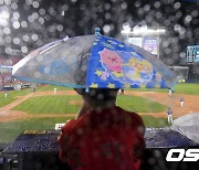 비가 와도 야구는 재밌어 [사진]