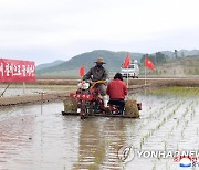 모내기 한창인 북한 청산협동농장