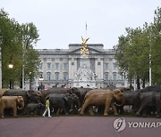 Britain Elephants