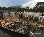 Brazil Amazon Floods