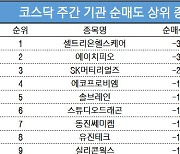 코스닥 주간 기관 순매도 1위 '셀트리온헬스케어'