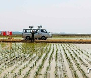 노동신문 "평안북도 모내기에 도·시·군 기관 간부 파견"