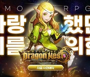 신작 모바일 MMORPG '월드 오브 드래곤네스트', 사전예약 시작