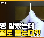 [자막뉴스] "잘랐는데, 저절로 붙는다"..소재가 자가치유를?