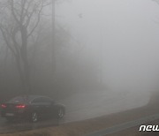 [오늘의 날씨] 강원(17일, 월)..최대 30mm 비, 산간 짙은 안개